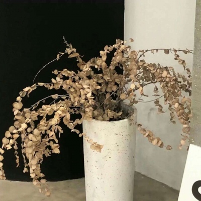 兽设山谷场景设计FurryQQ群